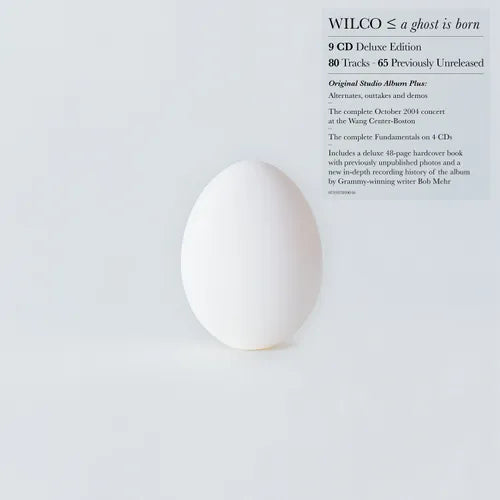 Wilco - A Ghost Is Born 2LP