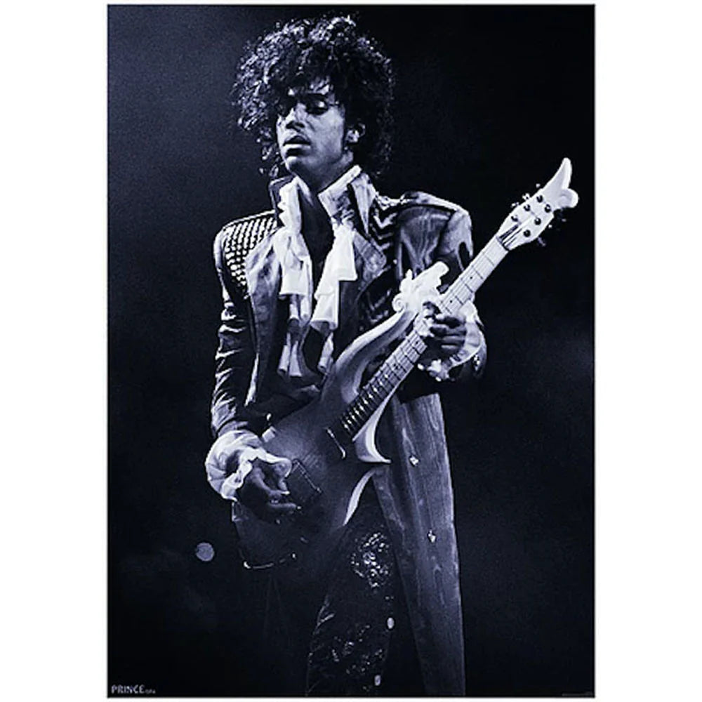 Prince Guitar Poster