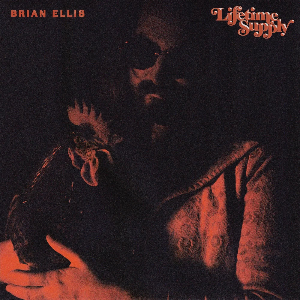 Brian Ellis - LIfetime Supply LP