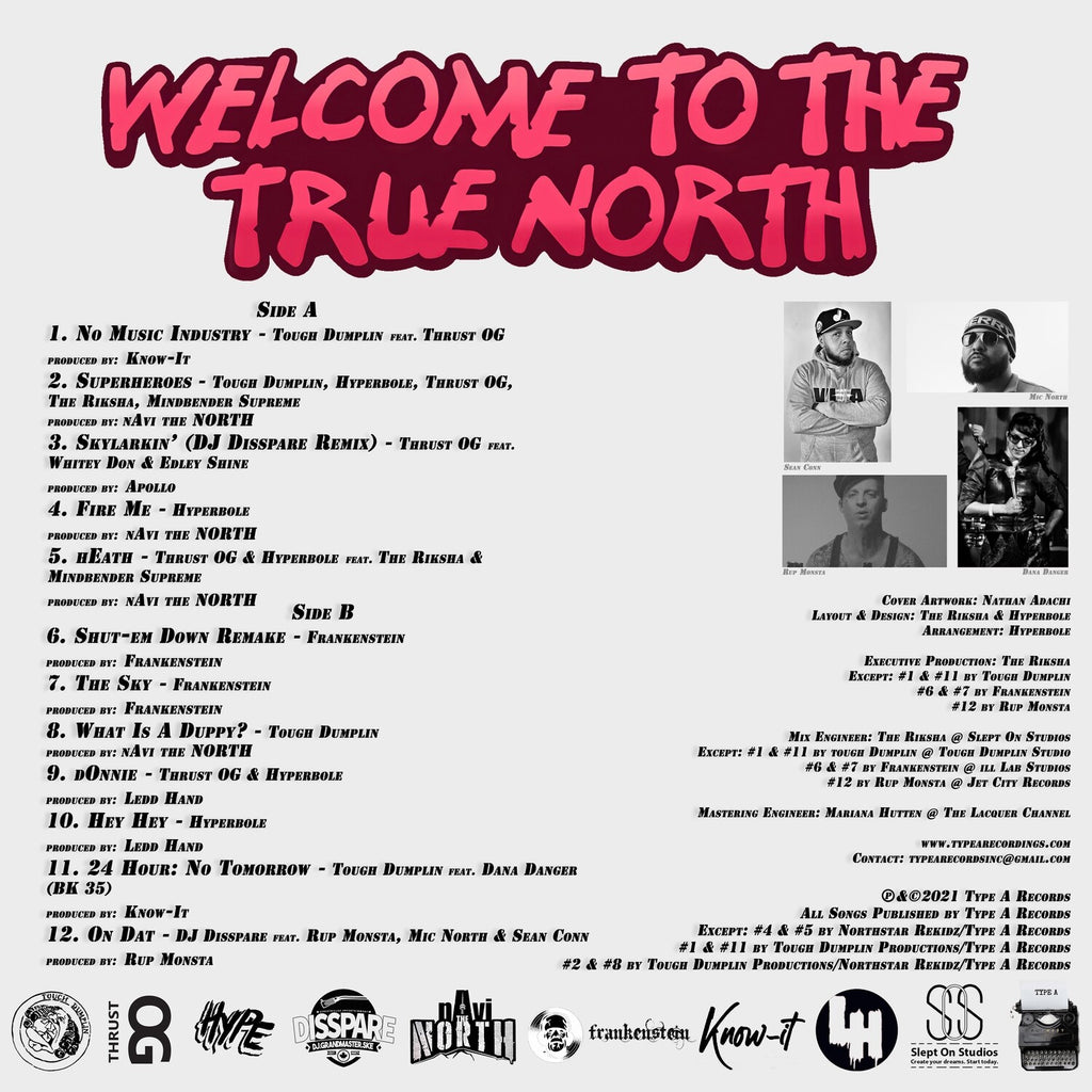 The Music Welcome To The North LP レコード-