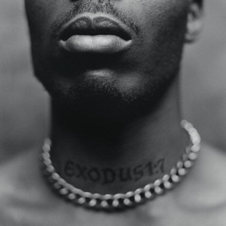 DMX - Exodus LP