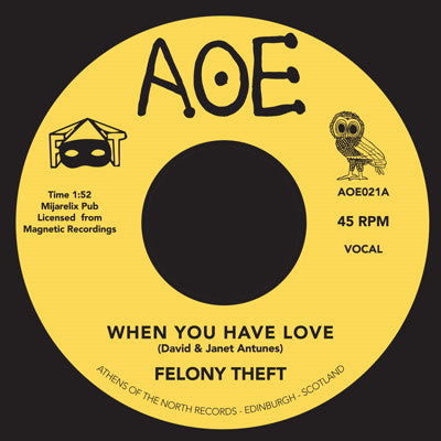 Felony Theft - When You Have Love 7-Inch