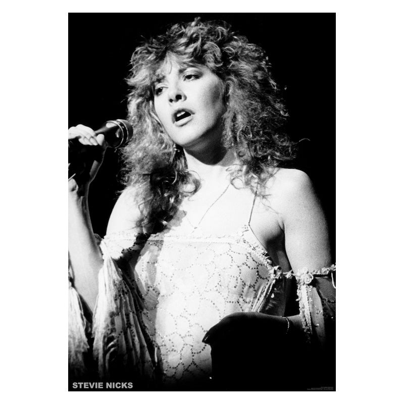 Stevie Nicks Poster